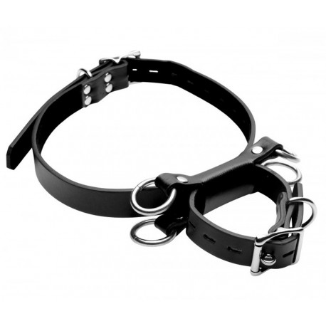 Contrainte de bondage cuisses
