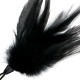 Plume noire Darkness 17cm