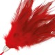Plumeau rouge foncé pour le Sensation Play Darkness - Malins-Plaisirs BDSM