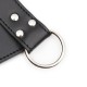 Ceinture de chasteté masculine - Accessoires BDSM Malins-Plaisirs
