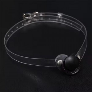 Bâillon avec tétine pour séances DDLG ou ABDL