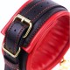 Collier BDSM avec laisse assortie - Malins-Plaisirs