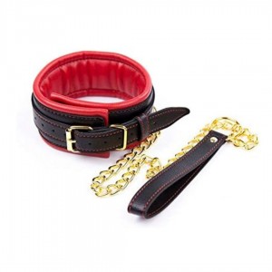 Collier BDSM avec laisse assortie - Malins-Plaisirs