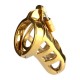 Brutal Gold Cage de chasteté - Accessoires BDSM Malins-Plaisirs