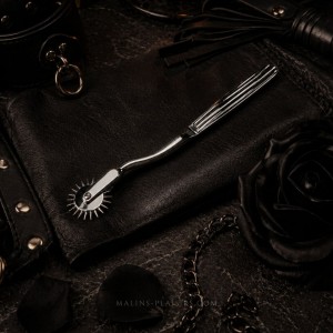 Roulette de Wartenberg argentée en acier poli pour jeu sensoriel BDSM - Malins-Plaisirs