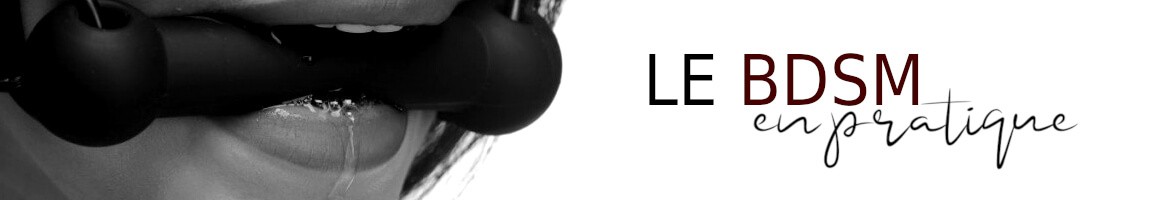 Le guide BDSM